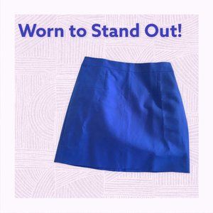 Size 8 J. Crew Blue Skirt